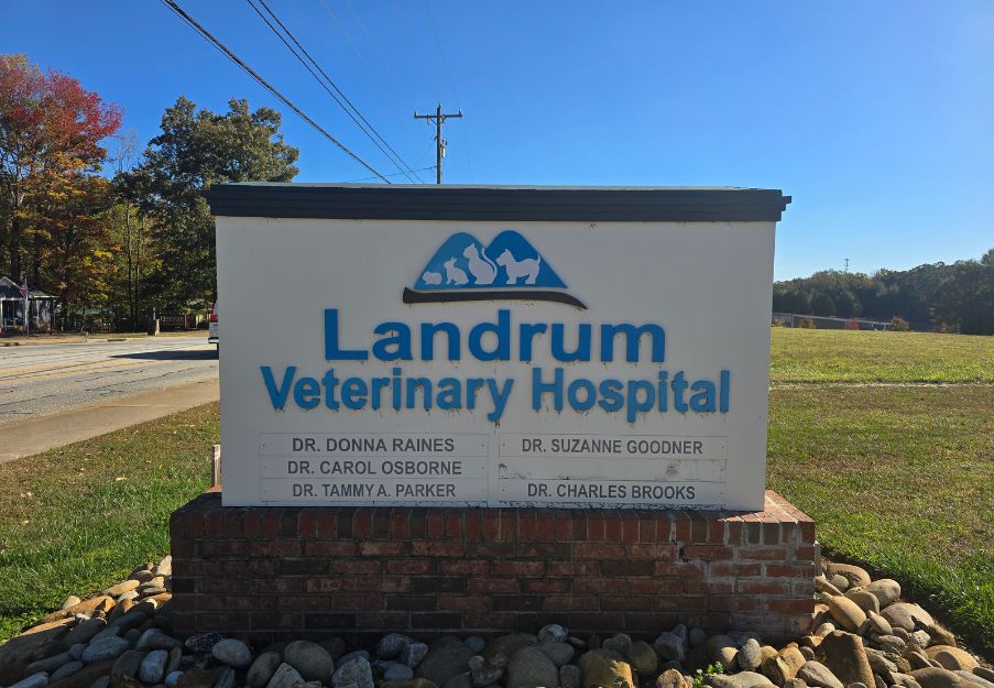 landrum veterinary hospital sign landrum veterinary hospital sign