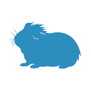 Pocket Pet icon