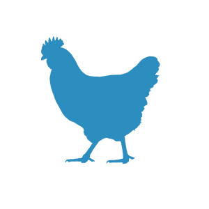 chicken icon