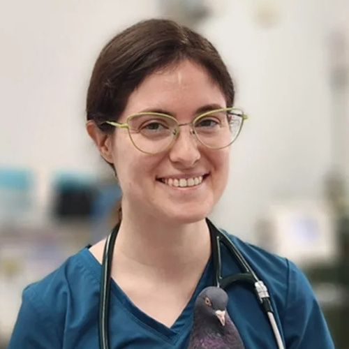 Dr. Sarah Cover Dr. Sarah Cover